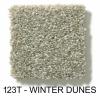 123T - WINTER DUNES