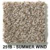 251B - SUMMER WIND