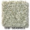 151B - SEASHELL